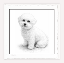 Load image into Gallery viewer, Bichon Frise
