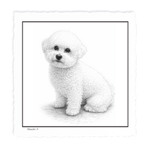 Load image into Gallery viewer, Bichon Frise
