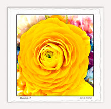 Load image into Gallery viewer, Yellow Rose
