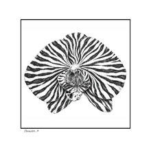 Load image into Gallery viewer, Orchid Zebra

