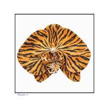 Load image into Gallery viewer, Orchid Tiger
