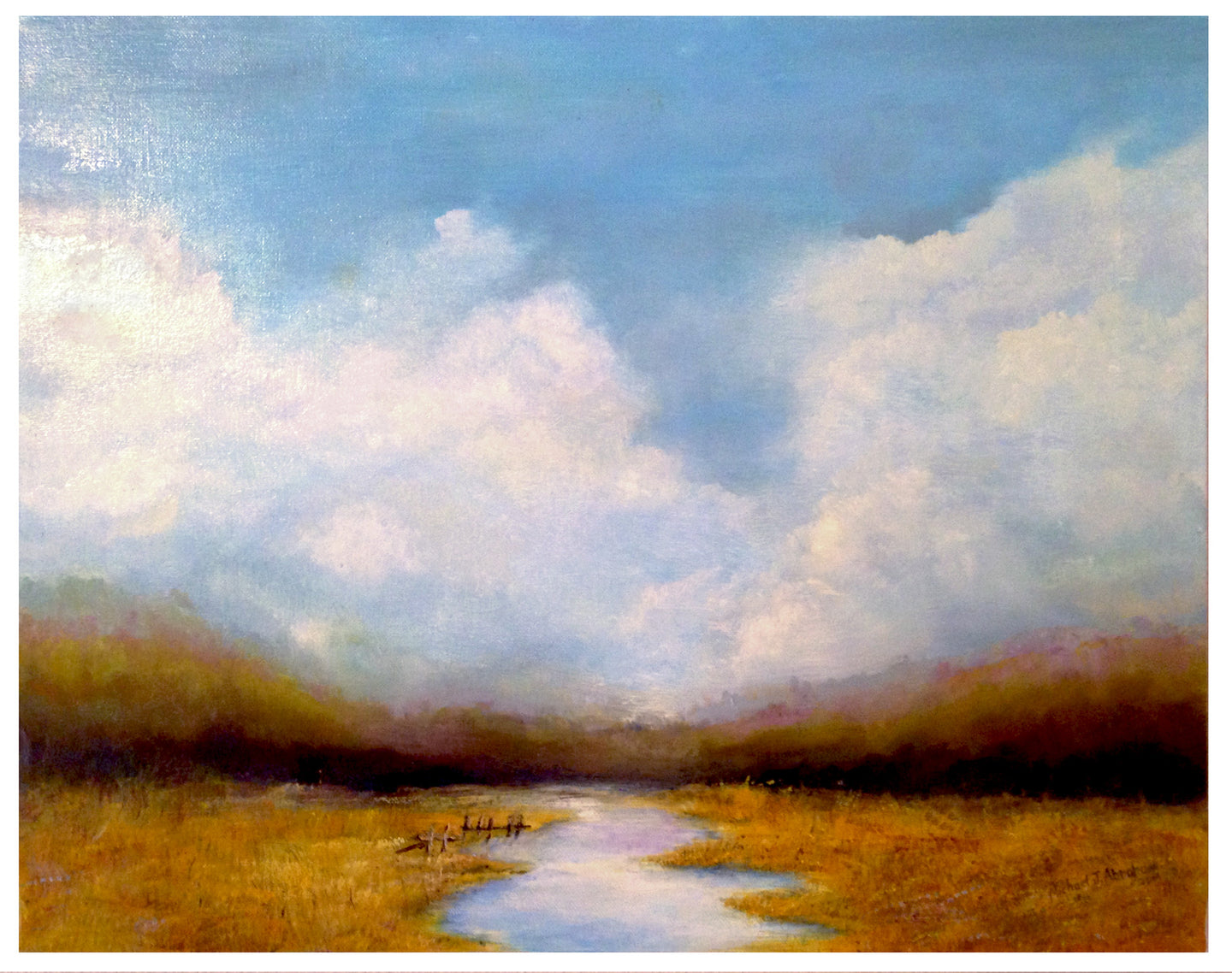 Daylight Stream